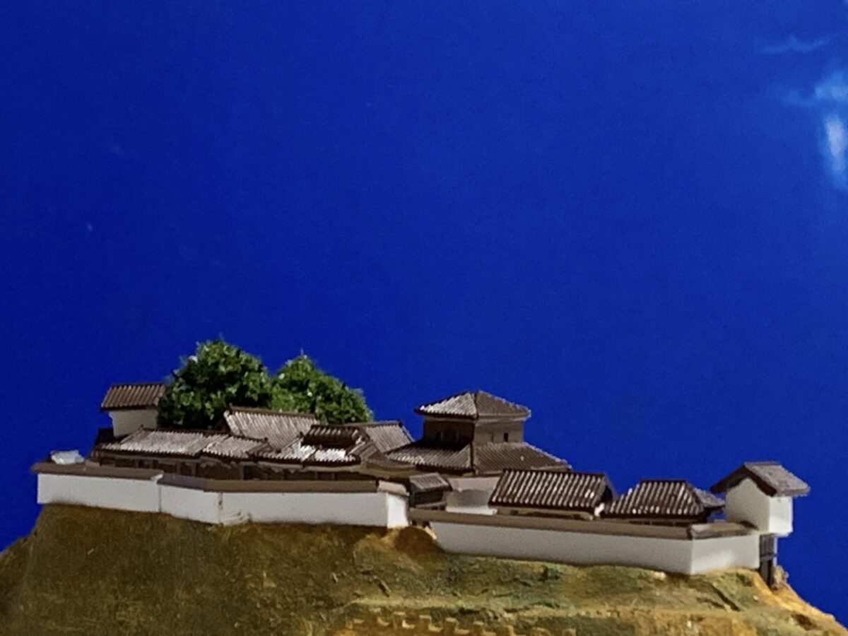 20260111城コレ・飯盛城・千畳敷